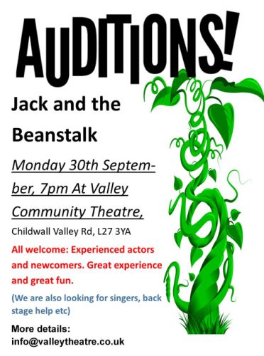 Auditions for Festive Panto